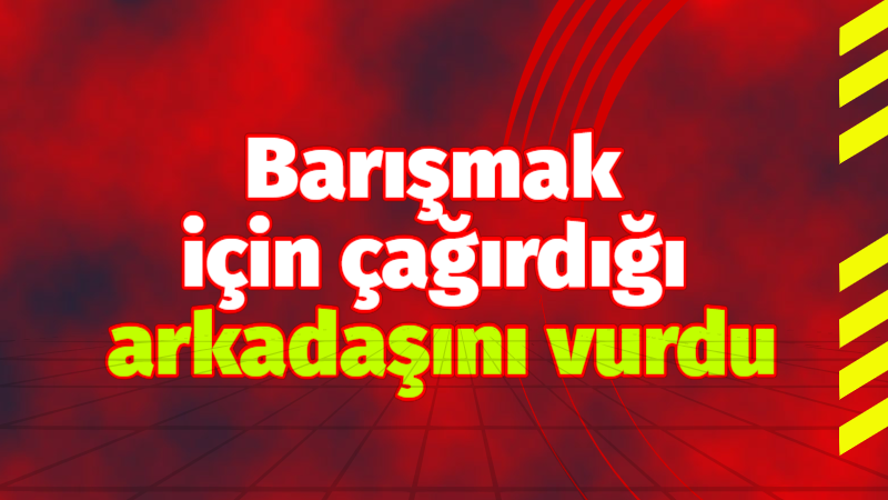 Barışmak için çağırdığı arkadaşını vurdu