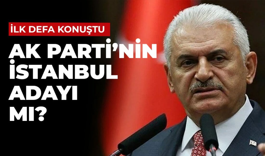 AK Parti'nin İstanbul Büyükşehir