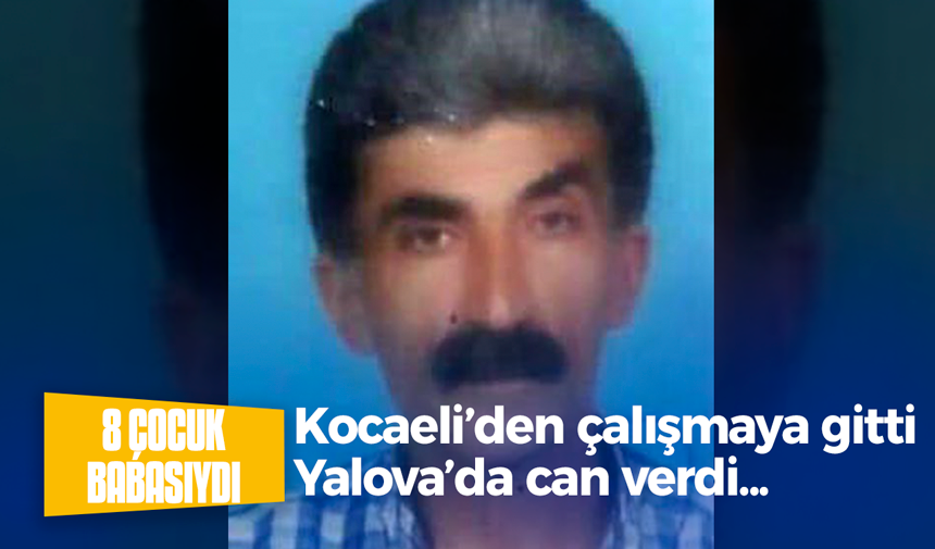 Kocaeli'den Yalova'ya çalışmaya giden