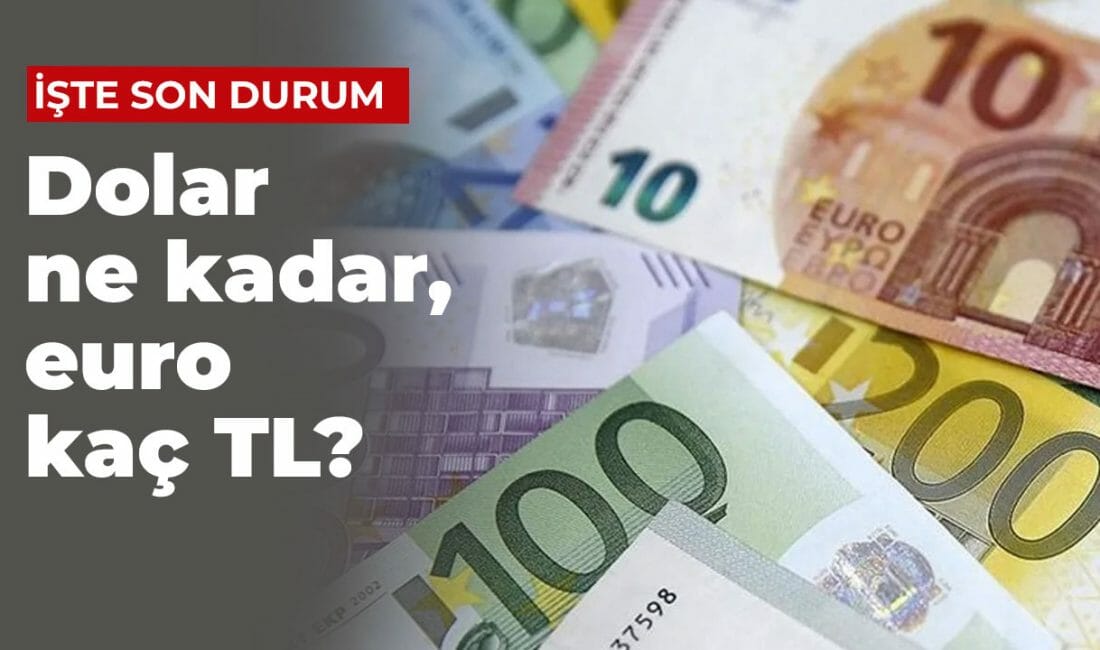 Dolar yatırımı yapan ya