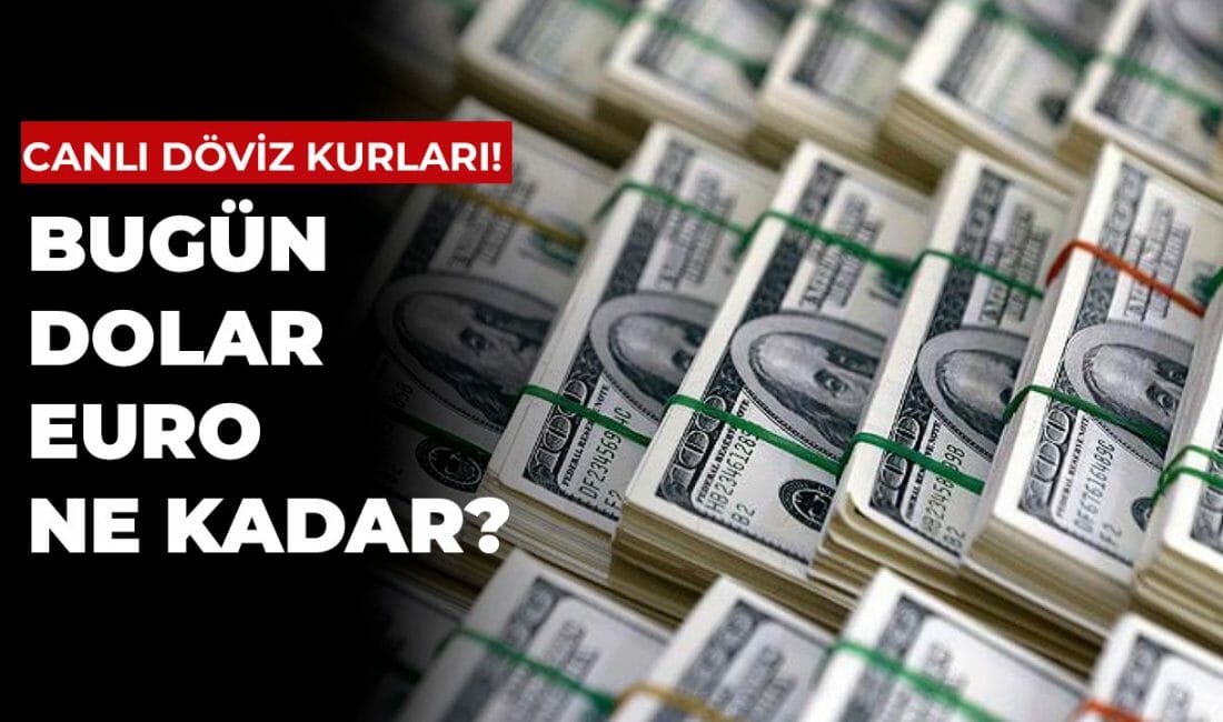 Dolar yatırımı yapan ya