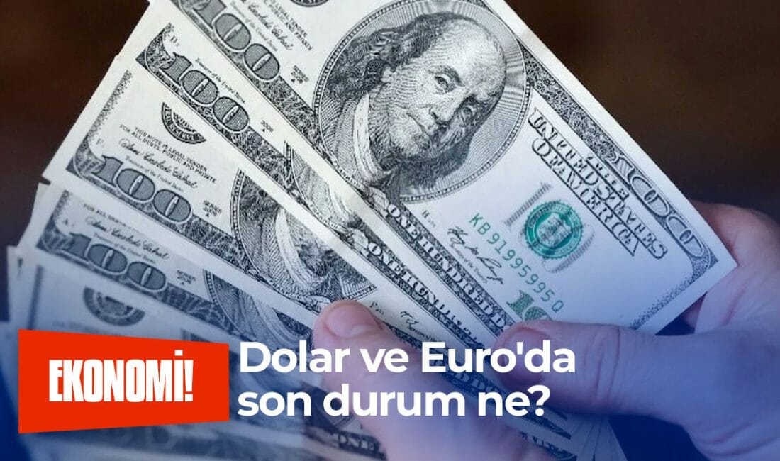 Dolar yatırımı yapan ya