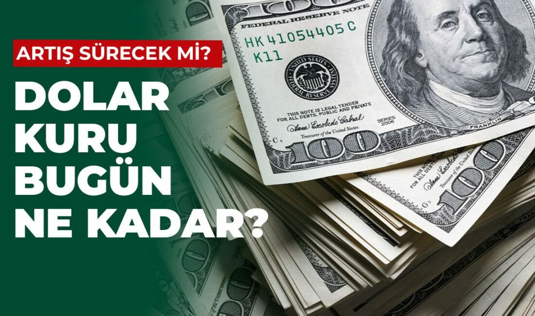 Dolar yatırımı yapan ya