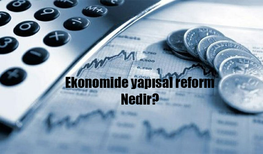 Ekonomide yapısal reform, bir