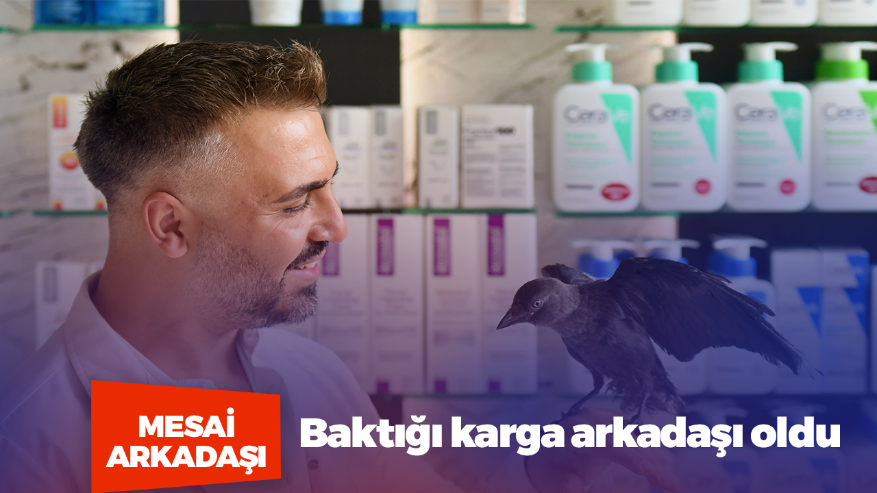 Karga Mesai arkadaşı oldu