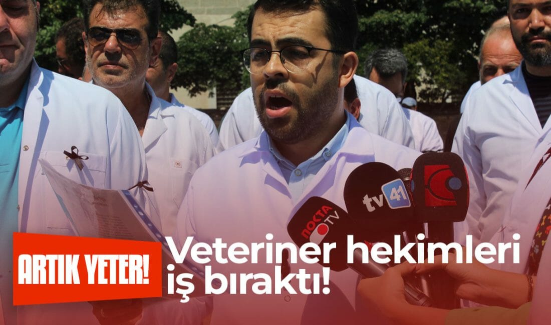 Ankara’da bir veteriner hekime