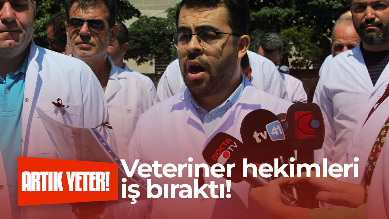 Veteriner hekimleri iş bıraktı!