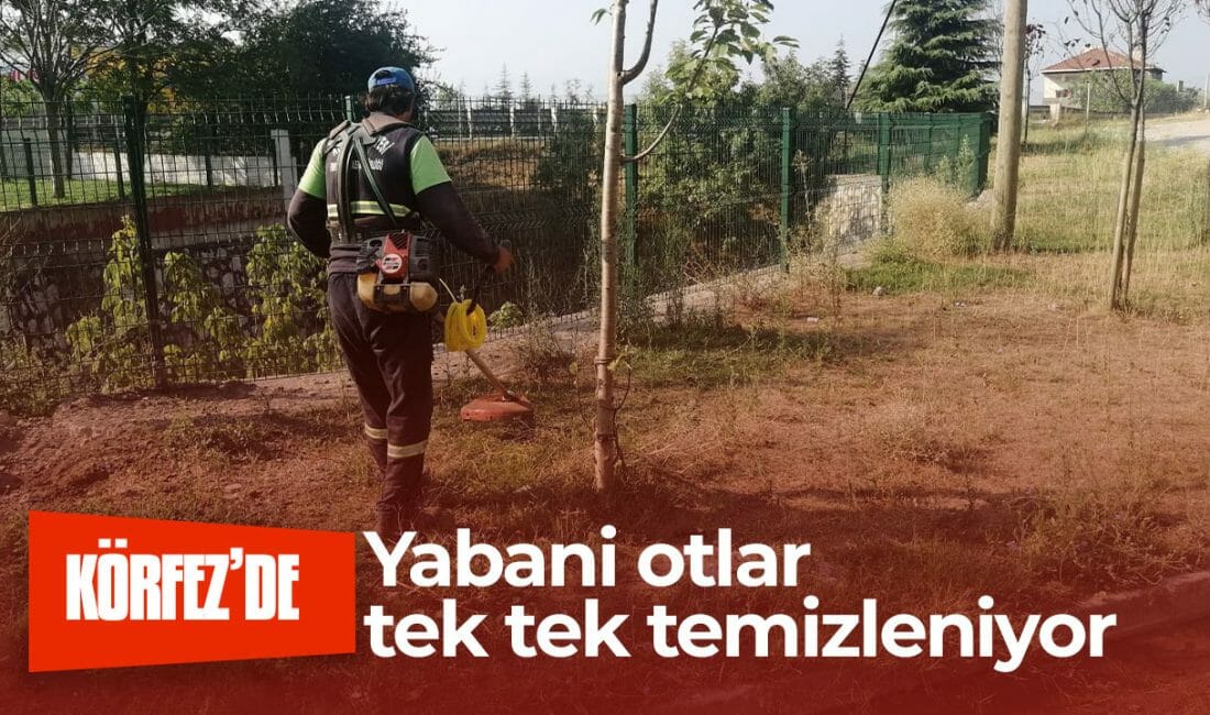 Körfez Belediyesi, ilçe genelindeki