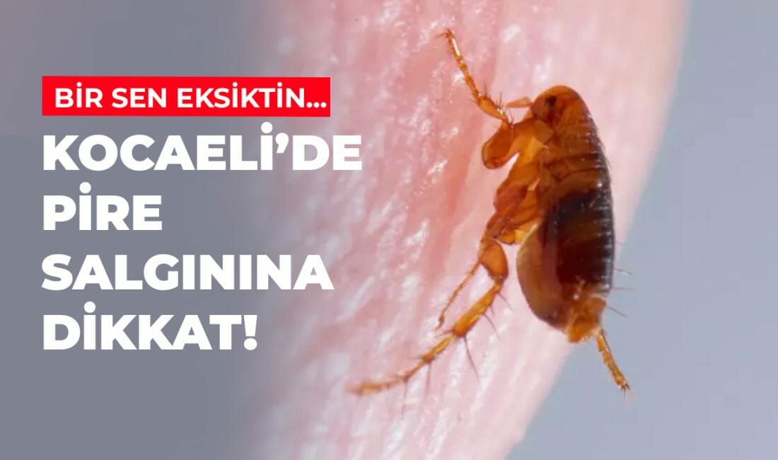 Havaların ısınması ile birlikte