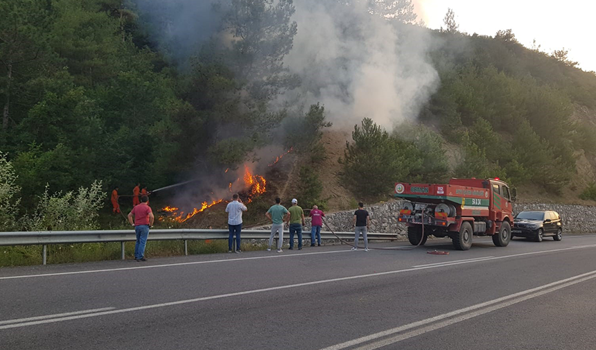 Sakarya’nın Taraklı ilçesinde ormanlık