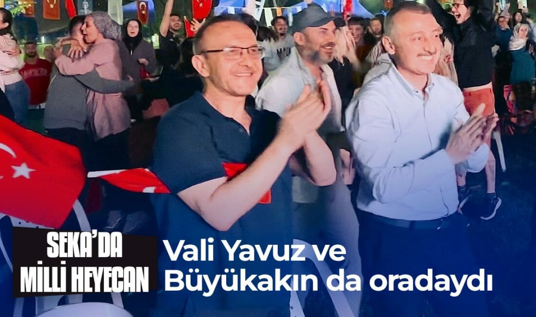 A Milli Kadın Voleybol