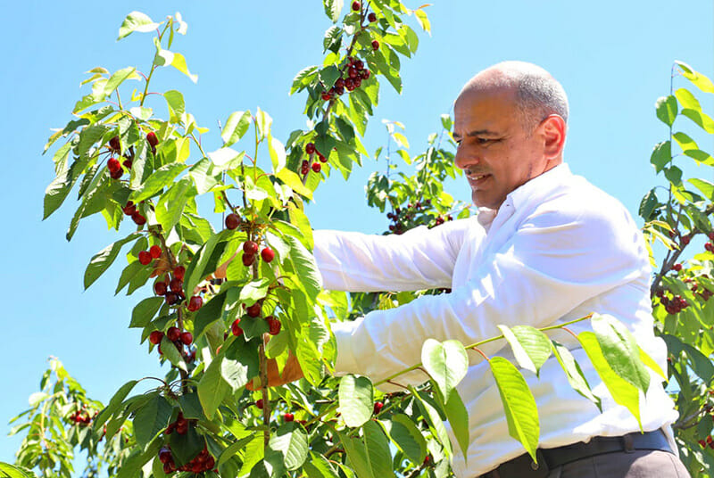 Söğüt önce ağaca çıktı! Sonra da destek sözü verdi