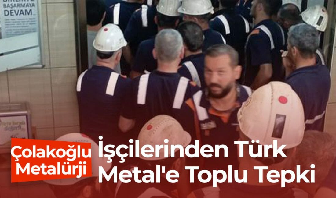 Dilovası'nda konumlanan Çolakoğlu Metalürji