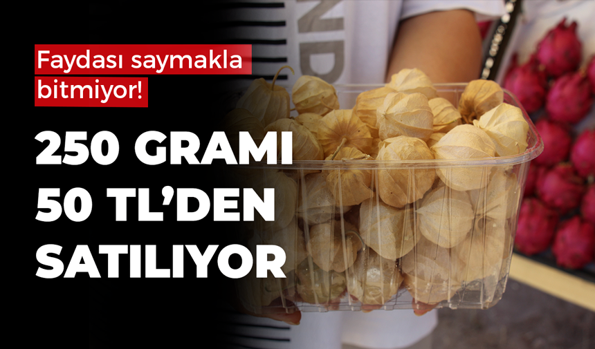 Faydası saymakla bitmiyor! 250 gramı 50 TL’den satılıyor