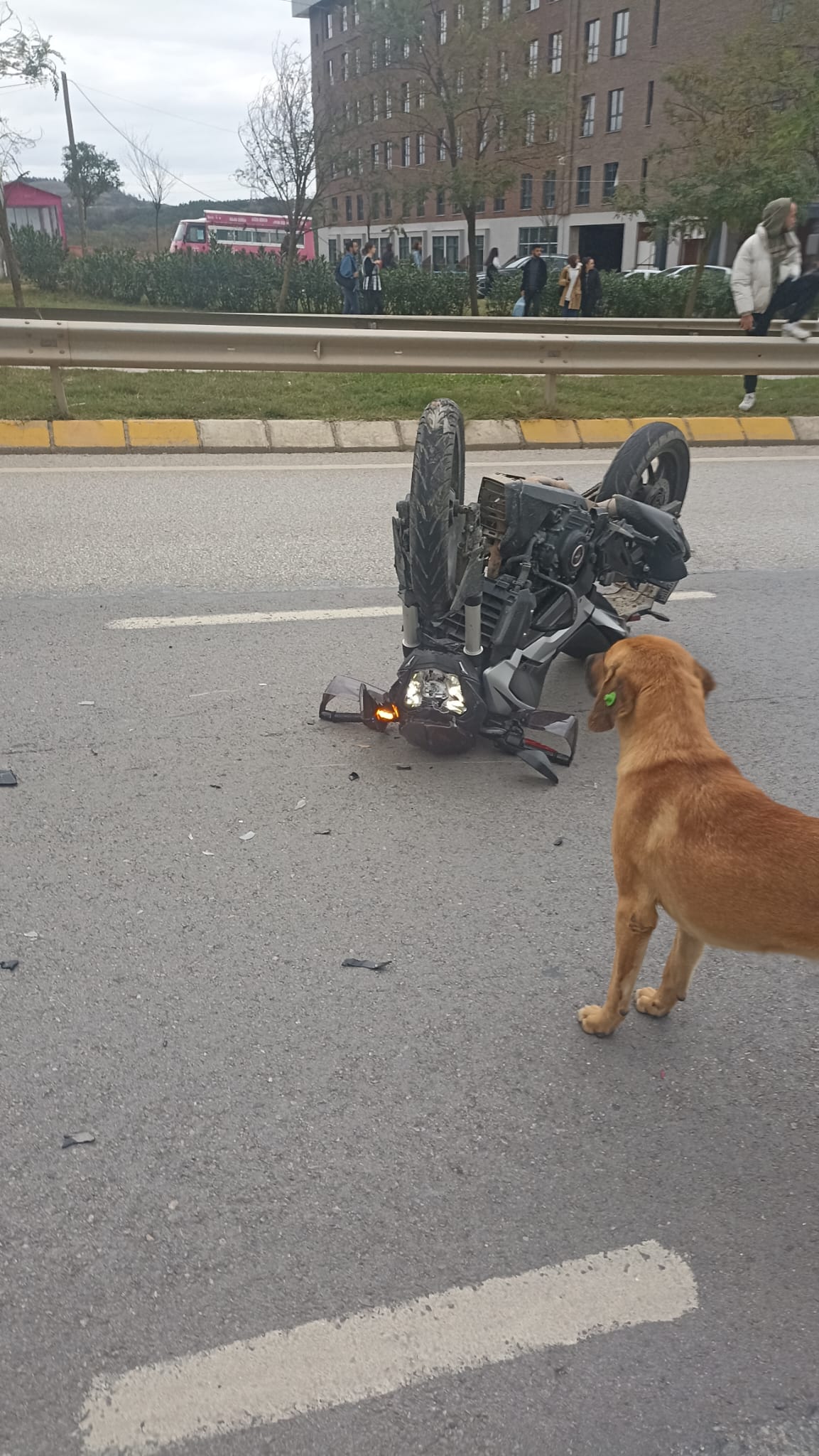 Kocaeli Üniversitesi'nde korkutan kaza! - Resim : 3