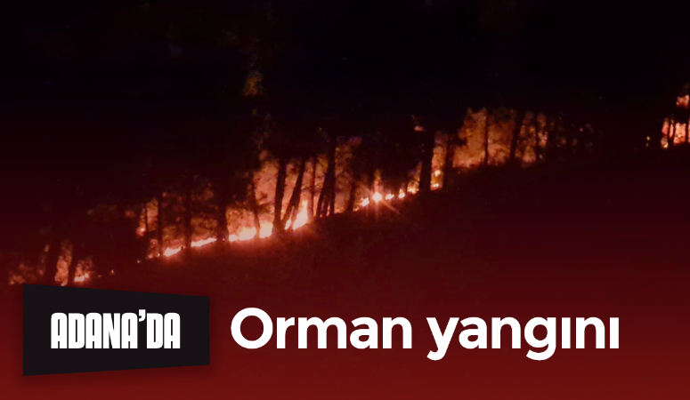 Adana’da orman yangını