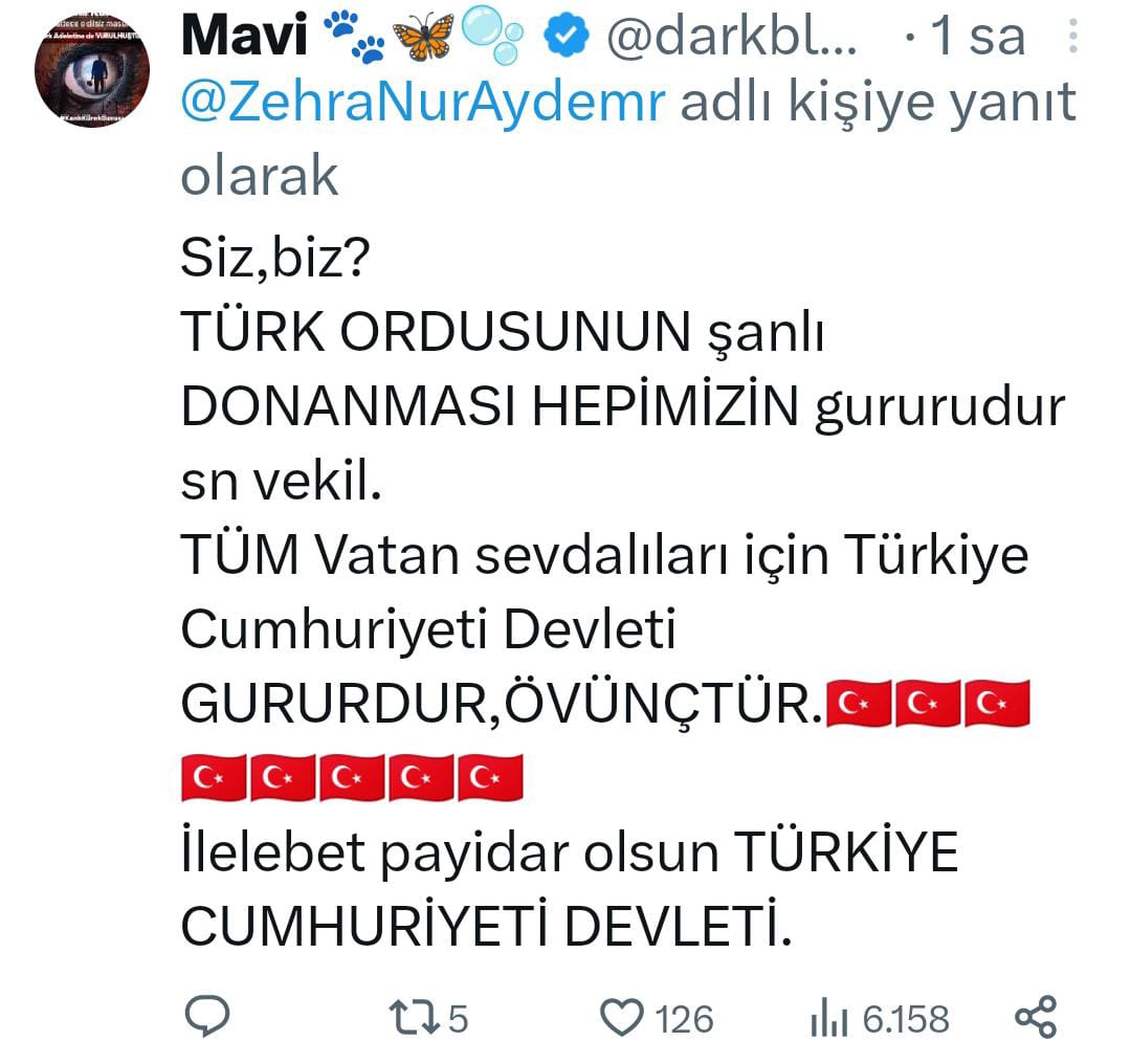 AK Partili vekilin Cumhuriyet Bayramı'nda yaptığı paylaşıma tepkiler yağdı - Resim : 5