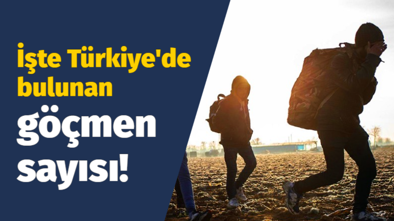 İşte Türkiye’de bulunan göçmen sayısı!