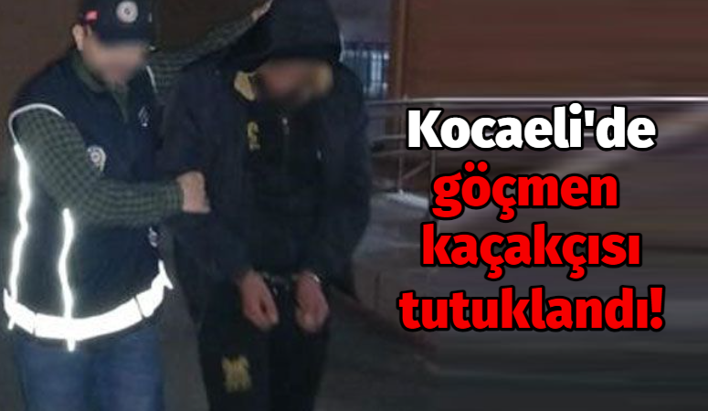 Kocaeli’de göçmen kaçakçısı tutuklandı!