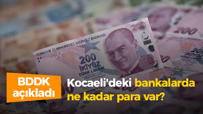 BDDK Kocaeli’deki bankalarda ne kadar para olduğunu açıkladı