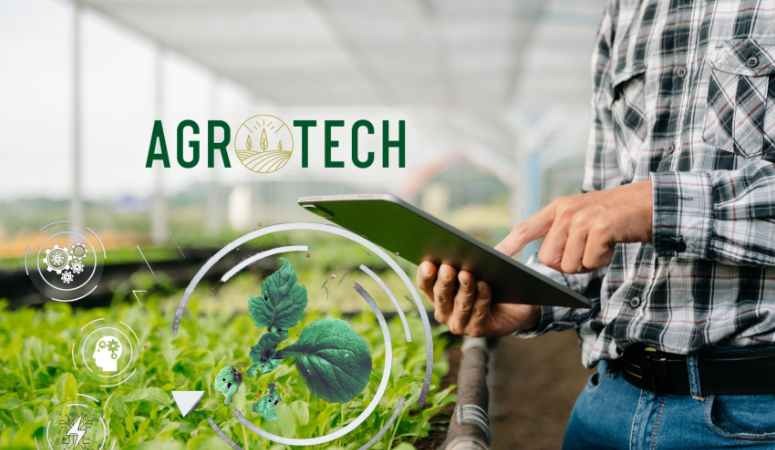 Agrotech Halka Arz Tarihi! AGROT Halka Arz Ne Zaman? Agrotech Katılım Endeksine Uygun Mu?