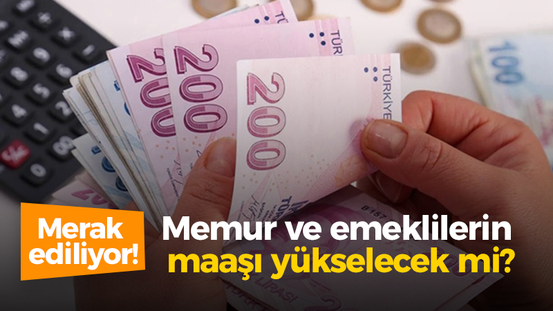 Merkez Bankası Başkanı Hafize