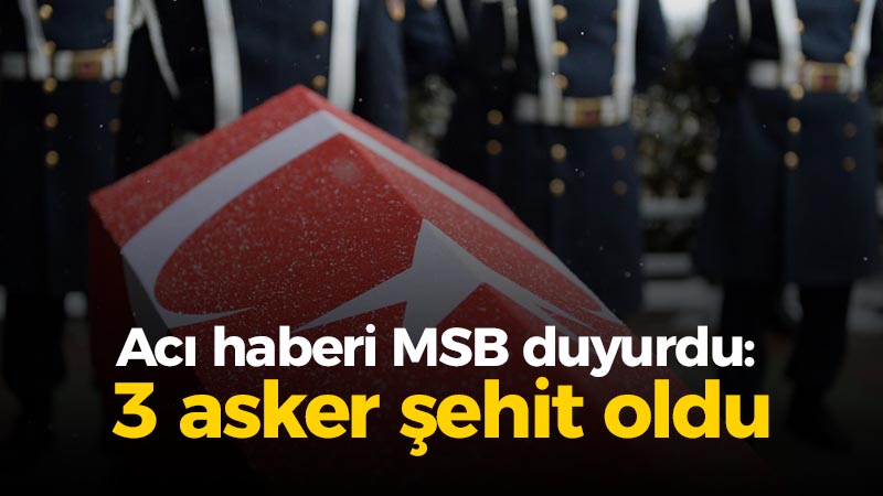 Milli Savunma Bakanlığı (MSB),