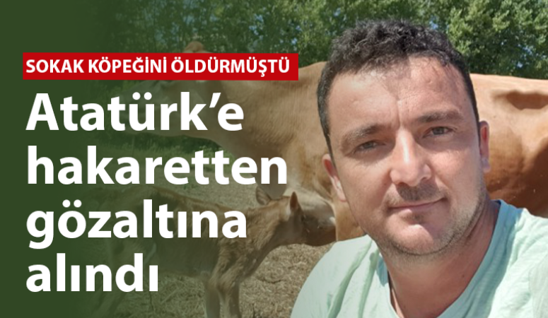 Sokak köpeğini öldürmüştü, Atatürk’e hakaretten gözaltına alındı