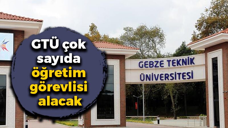 Gebze Teknik Üniversitesi, Resmi