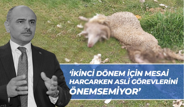 Erkan Uygun’dan Şener Söğüt’e tepki! “Asli görevlerini önemsemiyor”