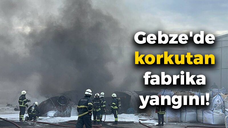 Gebze'de kullanılmayan bir fabrikada