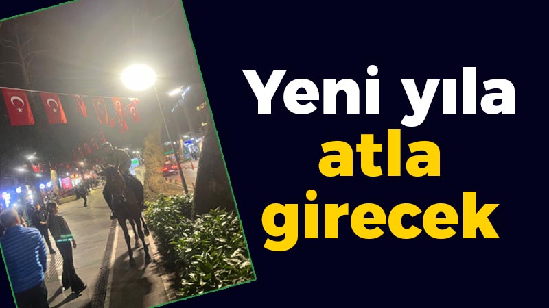 Kocaeli haber – Yeni yıla atla girecek