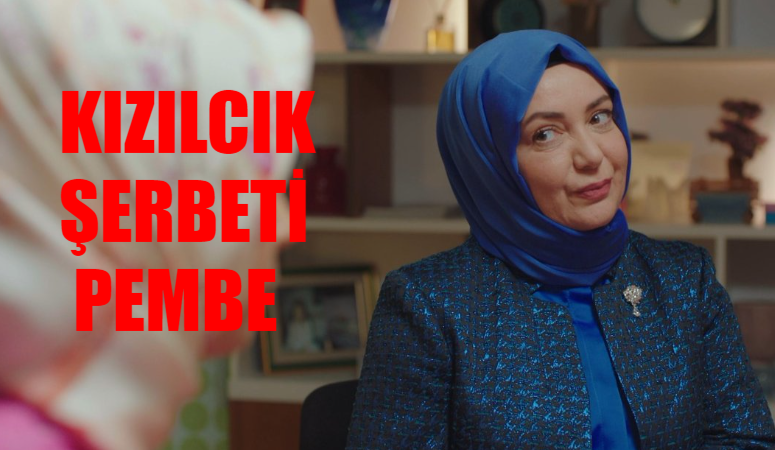 Kızılcık Şerbeti Pembe Kim? Sibel Taşçıoğlu Eşi Kim, Kaç Yaşında? Sibel Taşçıoğlu Çocuğu Var Mı? Sibel Taşçıoğlu Oynadığı Diziler