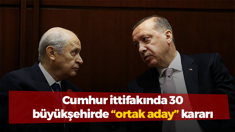 AKP ve MHP, 30