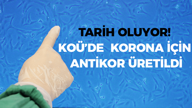 TARİH OLUYOR! KOÜ’de  korona için antikor üretildi