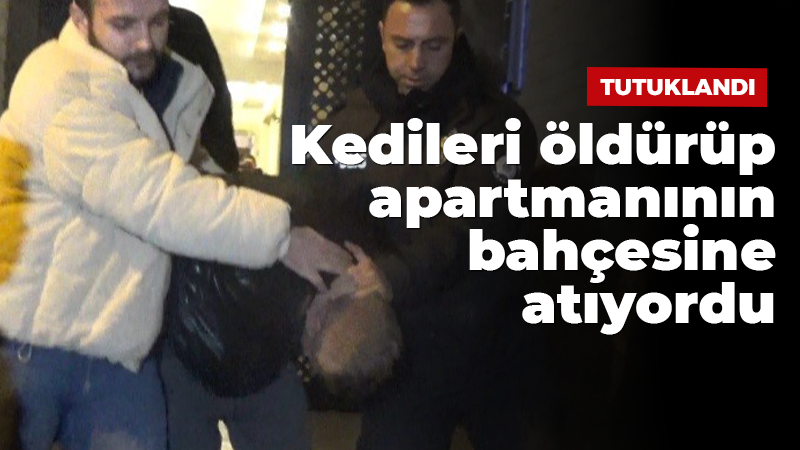 Kedileri öldüren cani tutuklandı