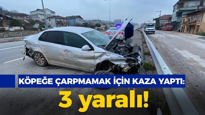 Kocaeli haber – Köpeğe çarpmamak için kaza yaptı: 3 yaralı