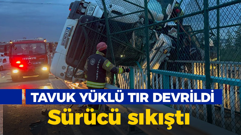 Çayırova'da dondurulmuş tavuk yüklü