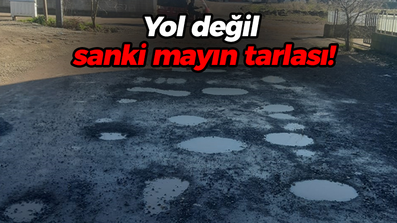 Yol değil sanki mayın tarlası!