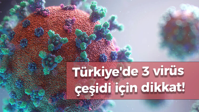 Türkiye’de 3 virüs çeşidi için dikkat!