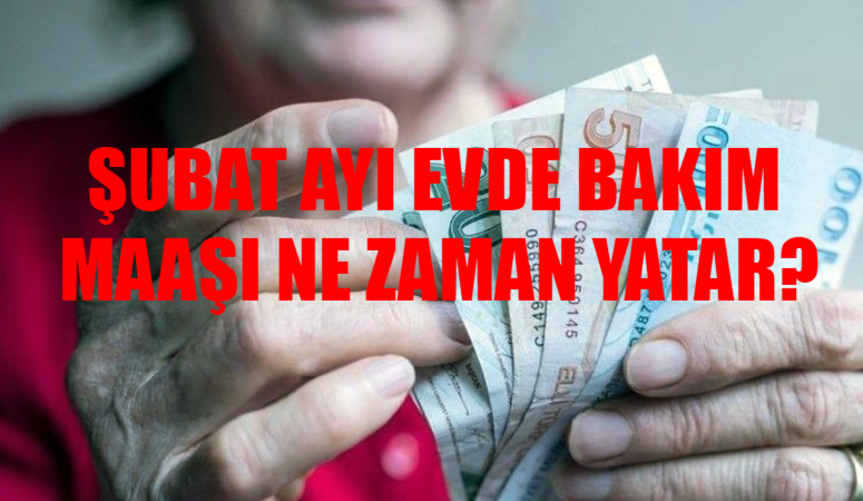 14 Şubat evde bakım