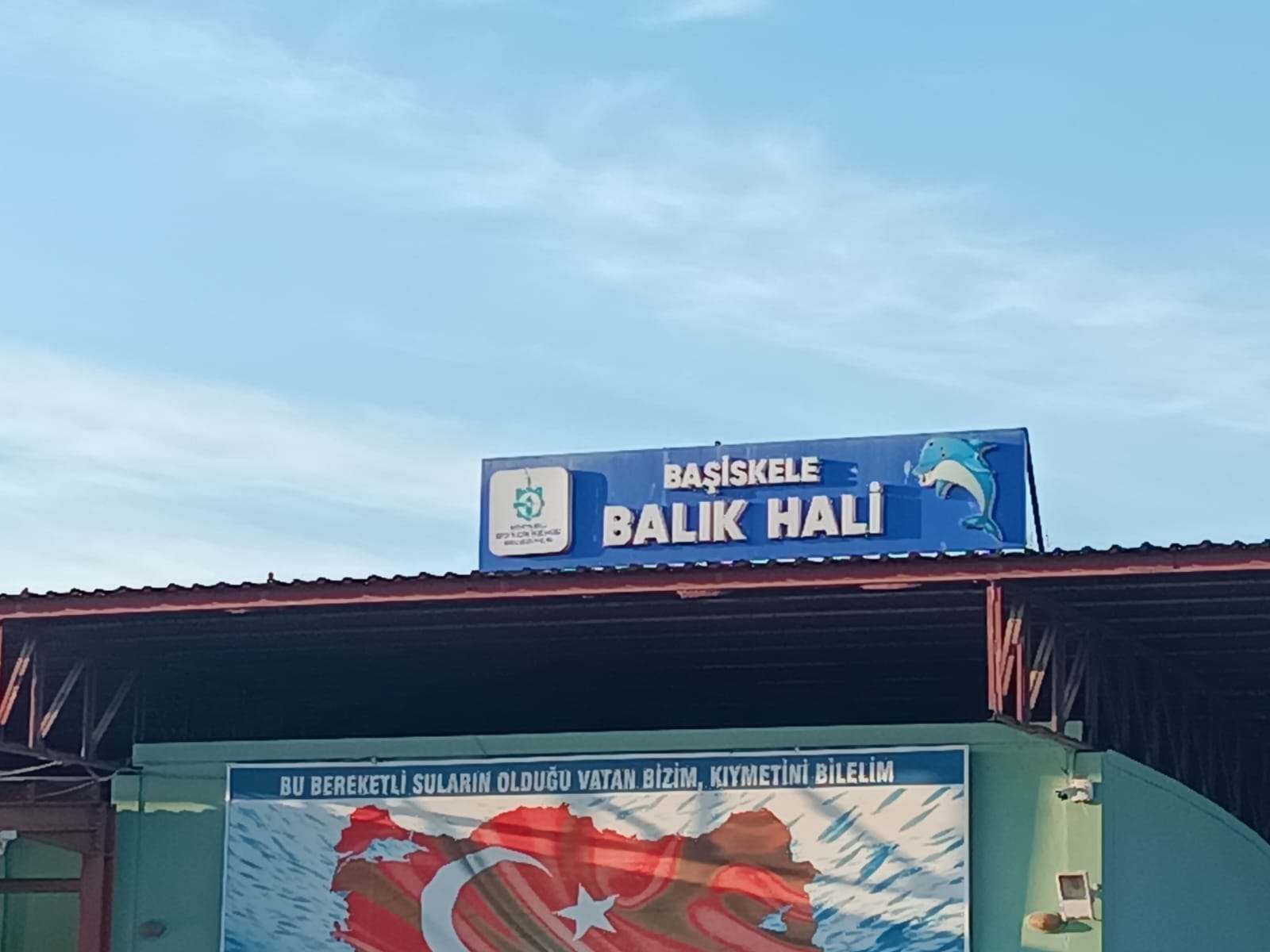 Zafer Mutlu, Balık halini kaldıracak! - Resim : 2