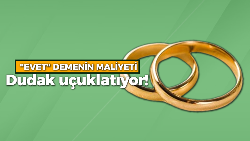 “EVET” demenin maliyeti dudak uçuklatıyor!