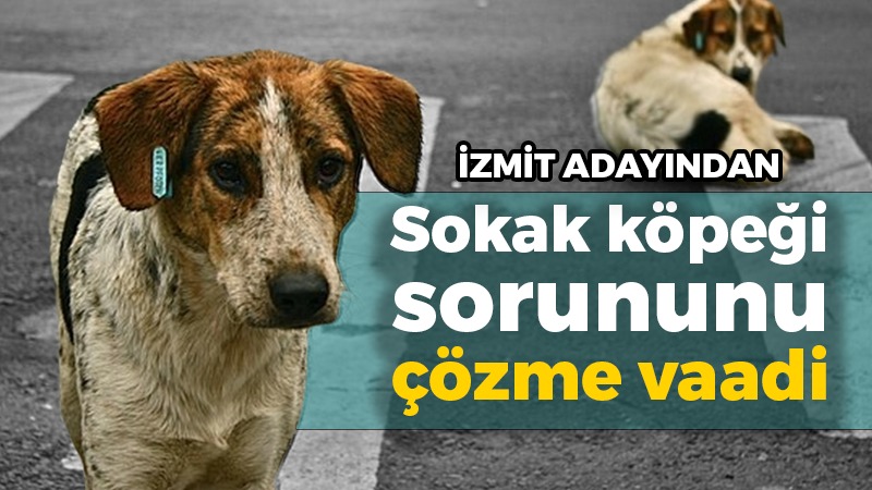 İzmit Belediyesi’nin bağımsız belediye