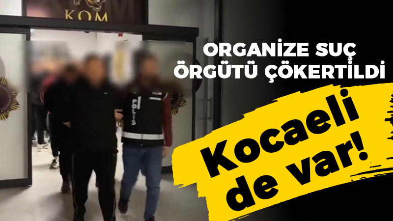 Organize suç örgütü çökertildi: Kocaeli de var!