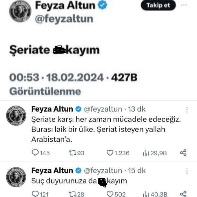 Feyza Altun gözaltına alındı - Resim : 3