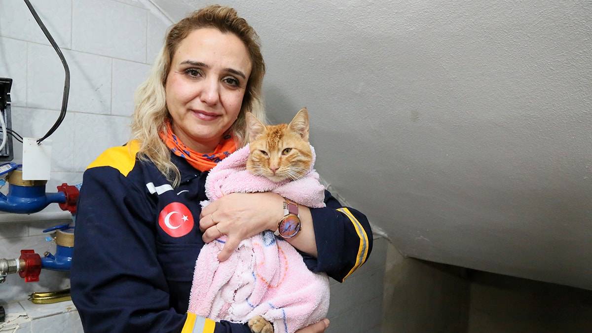 AFAD gönüllüsü kalpleri fethetti! "Rab'bim sen yardım et" diyerek boyuna kadar suya girdi - Resim : 2