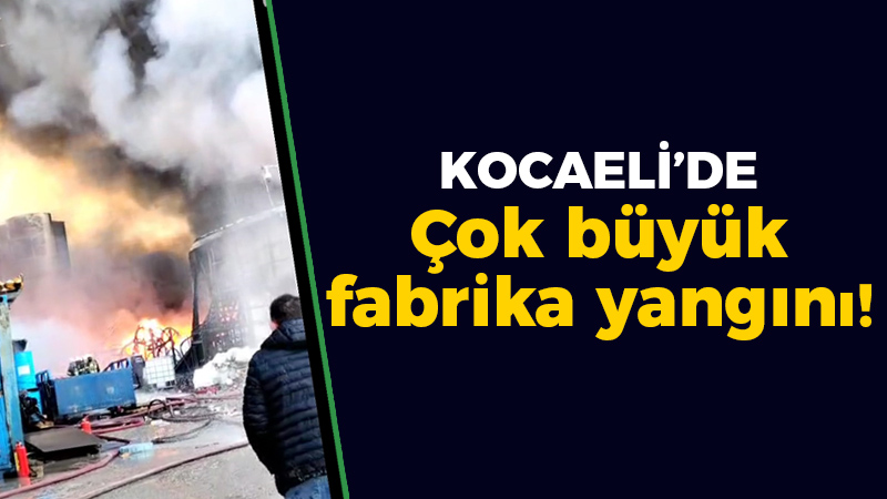 Kocaeli’de çok büyük fabrika yangını!