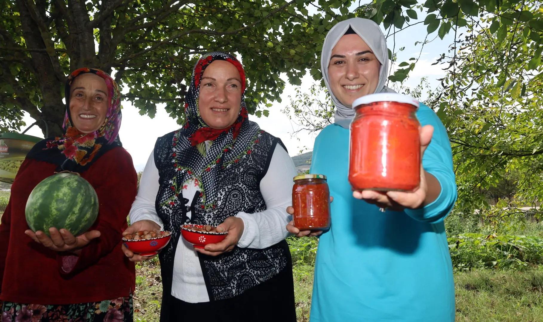 Büyükşehir’den % 75 hibeli tarım desteği - Resim : 1