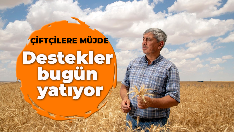 Çiftçilere müjde! Destekler bugün yatıyor